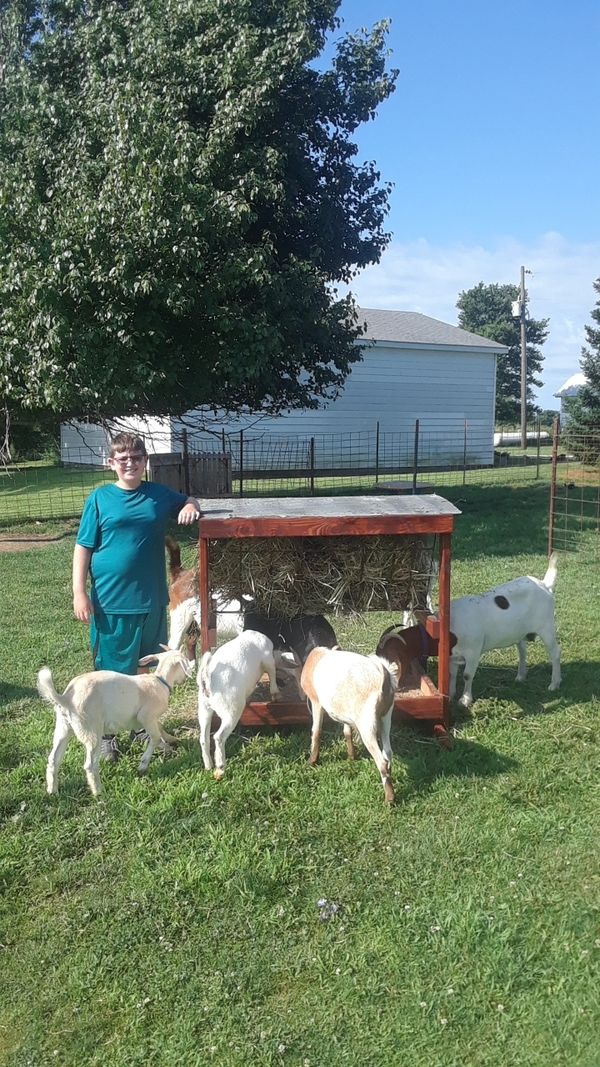 Christopher Hembrough, Winchester IL, Show Goats