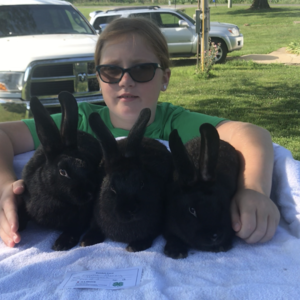 Emma Morey, Sutter IL, Rabbits Pen of Three