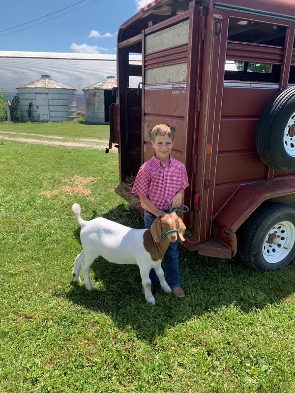Evan Goodwin, Monticello MO, Market Goats