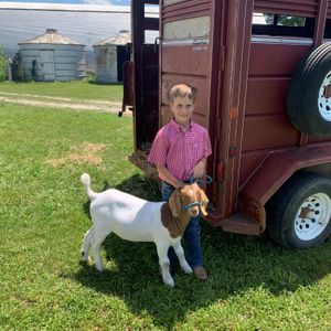 Evan Goodwin, Monticello MO, Market Goats