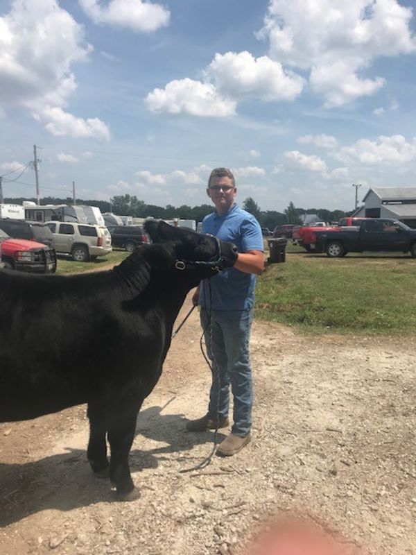 Isaac Stotts, Camp Point IL, Show Steer