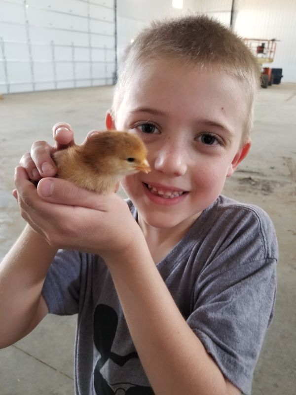 Isaac Benz, Payson IL, Show Chick